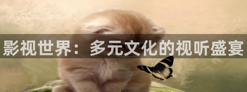 人人影视首页