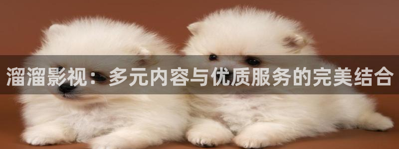 人人视频在线
