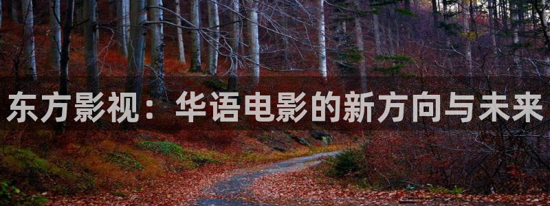 人人干人人视频