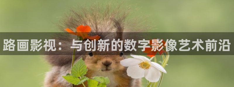 人人影音播放器