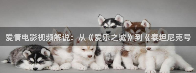 人人影院伦理