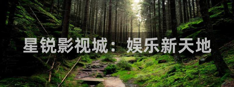 人人视频网：星锐影视城：娱乐新天地