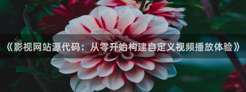人人影视app免费观看