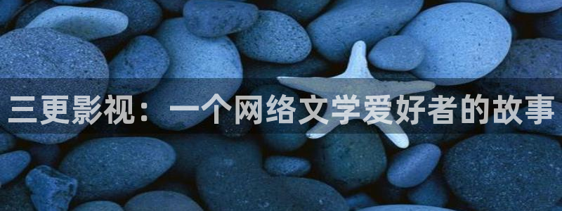人人视频电视版