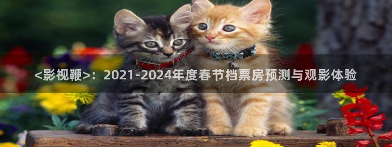 人人影院视频：<影视鞭>：2021-2024年度春节档票房预测与观影体验