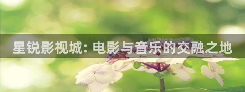 将夜2人人影院：星锐影视城: 电影与音乐的交融之地