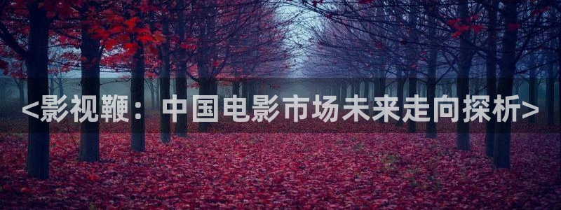 人人影院-最新电影-高清电视剧-免费：<影视鞭：中国电影市场未来走向探析>