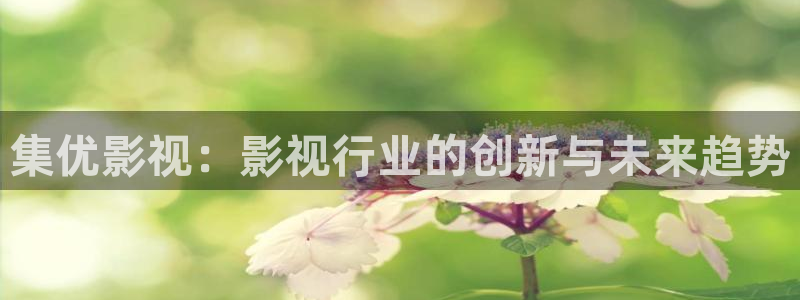 人人影院视频：集优影视：影视行业的创新与未来趋势