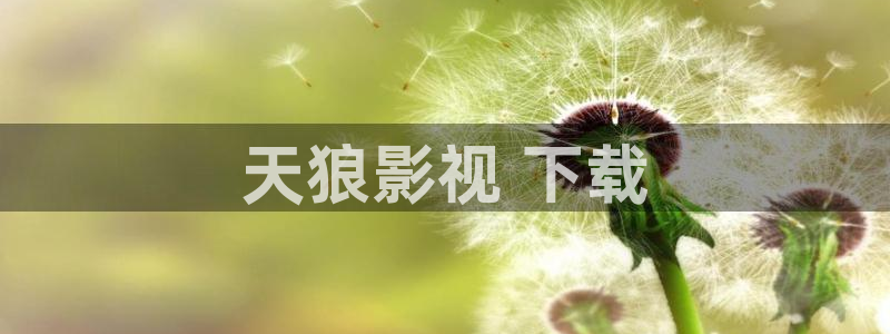 人人影院网：天狼影视 下载