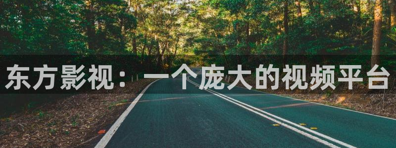 人人影音电脑版：东方影视：一个庞大的视频平台