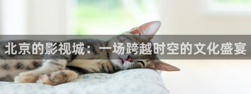 人人视频电脑版