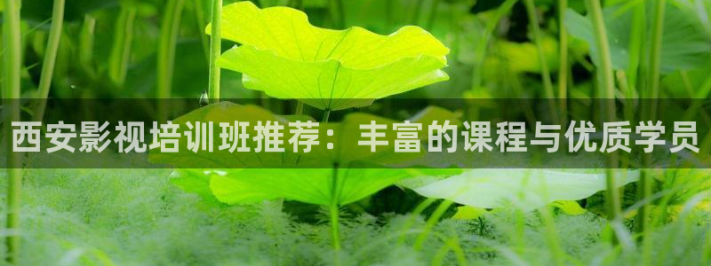 人人影视首页：西安影视培训班推荐：丰富的课程与优质学员