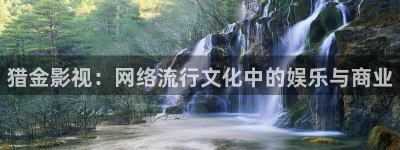 人人影视：猎金影视：网络流行文化中的娱乐与商业