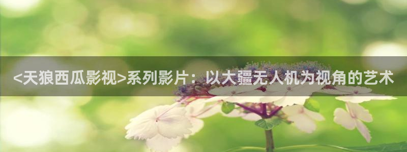 人人影院：<天狼西瓜影视>系列影片：以大疆无人机为视角的艺术