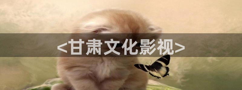 人人影视：<甘肃文化影视>