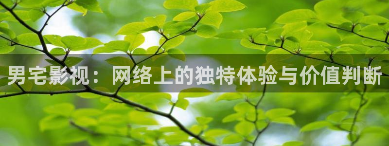 人人影视网站