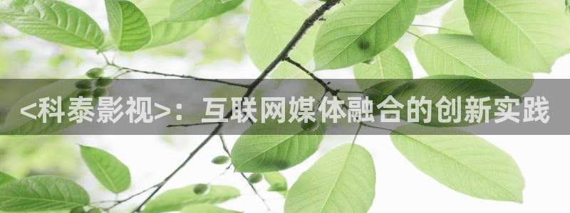 51人人影院