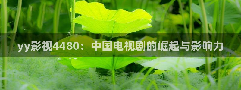 人人影视在线免费观看